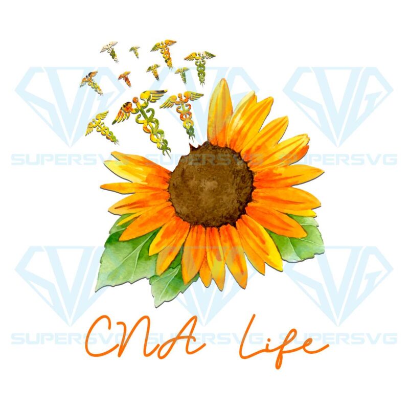 Cna life sunflower png cf090422008