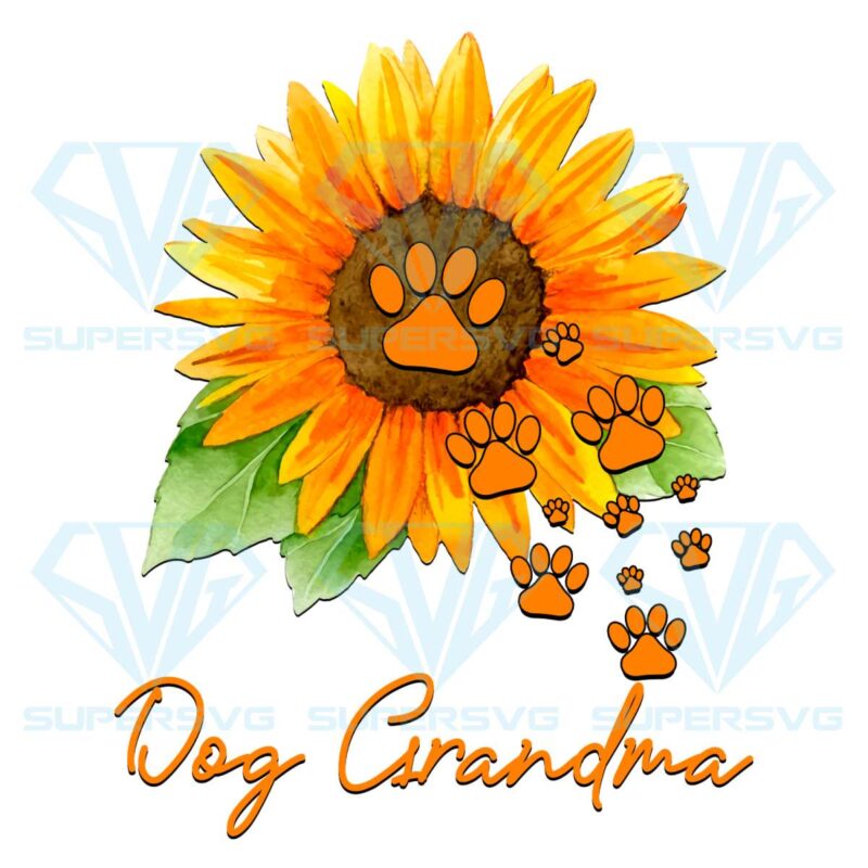 Dog grandma dog paw sunflower png cf130422004