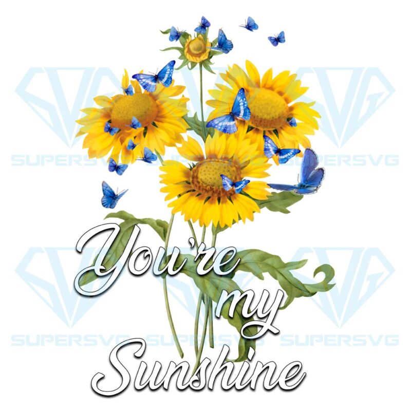 You are my sunshine png cf090422009