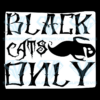 Black Cats Only Svg, Halloween Svg, Black Cats Svg, Only Cat Svg