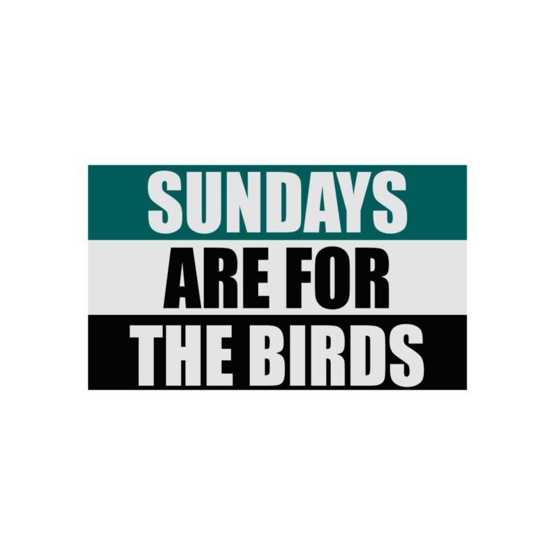 sundays-are-for-the-birds-eagles-fans-svg-cutting-files