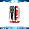 free-trump-american-flag-desantis-2024-best-design-svg-digital-files