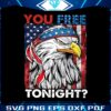 you-free-tonight-4th-of-july-independence-day-png-silhouette-files
