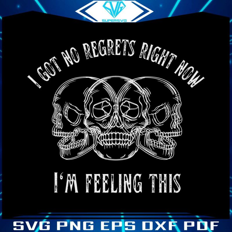 i-got-no-regrets-right-now-blink-182-svg-graphic-design-file