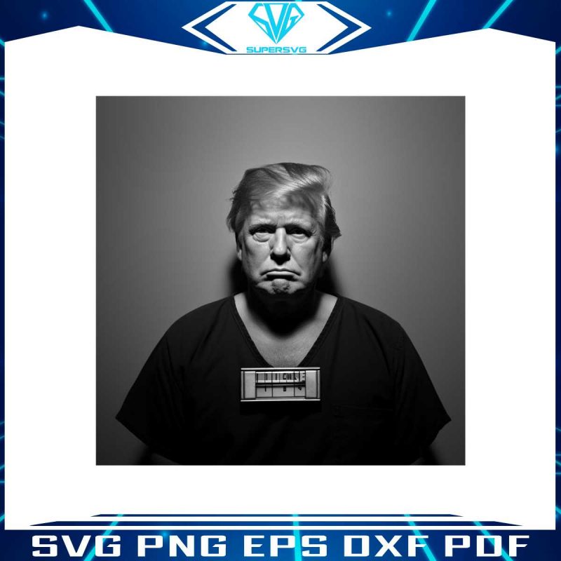 donald-trump-mugshot-png-fulton-country-sheriff-office-png