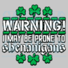 Warning I May Be Prone to Shenanigans Cricut Svg Files