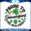 prone-to-shenanigans-and-malarkey-patricks-day-png