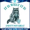 raccoon-meme-it-is-what-it-is-png