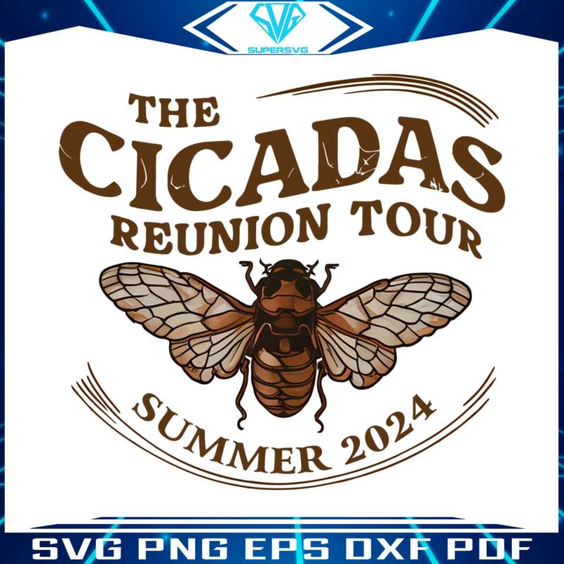 the-cicadas-reunion-tour-summer-2024-png