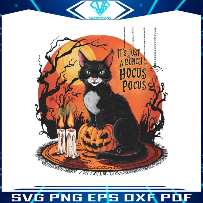 vintage-horror-cat-its-just-a-bunch-of-hocus-pocus-png