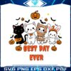 halloween-spooky-cat-pumpkin-svg