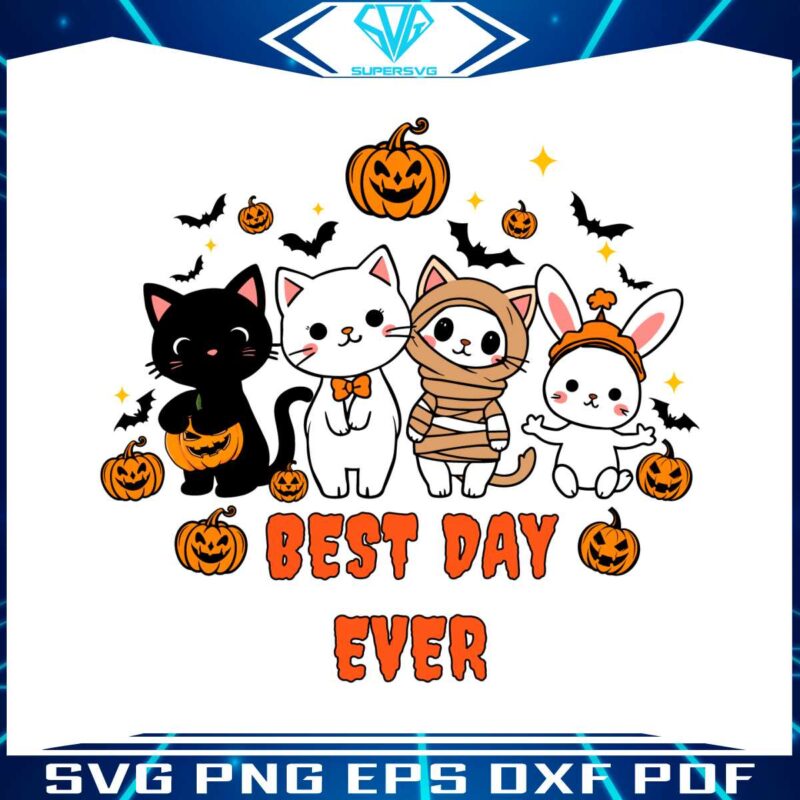 halloween-spooky-cat-pumpkin-svg