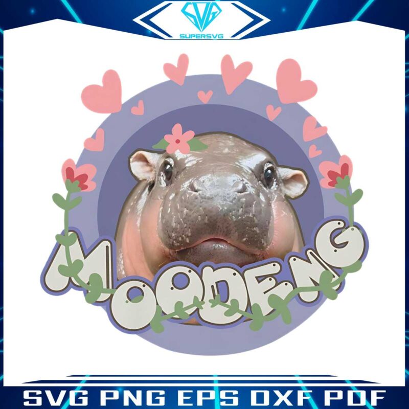 moo-deng-bouncy-pig-in-thailand-png