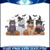 witchy-cats-halloween-pumpkin-png
