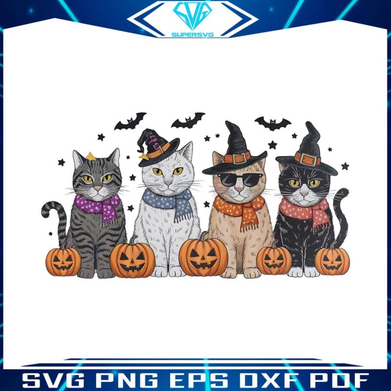 witchy-cats-halloween-pumpkin-png