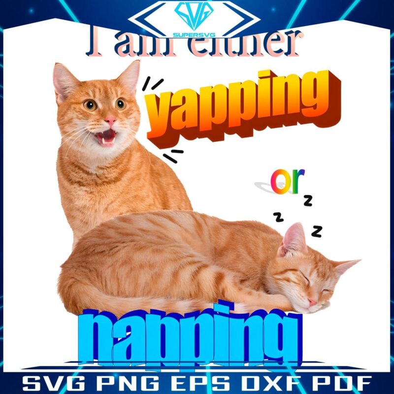 Yapping or Napping Hilarious Cat Meme PNG