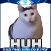 Funny Huh Cat Meme in PNG Format