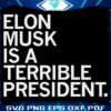 Elon Musk The SVG President You Didnt Expect